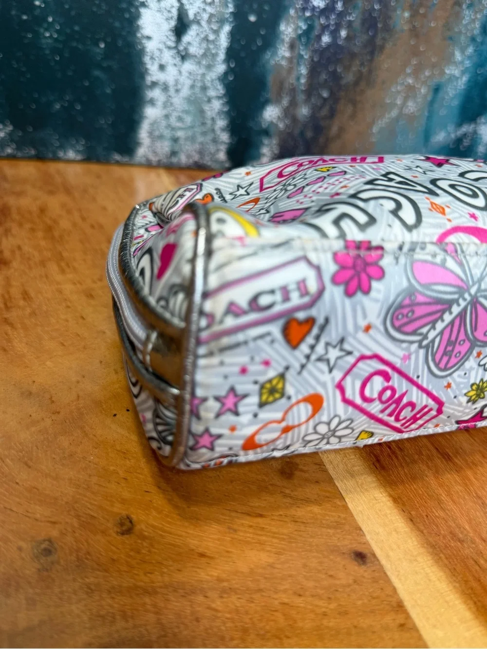 Coach Y2K 2010 Rare Highly Collectible Poppy Graffiti Butterfly Cosmetic Case